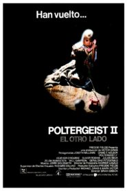 Poltergeist II: El otro lado